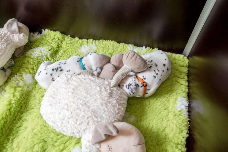 A-Wurf 20. Lebenstag (9)