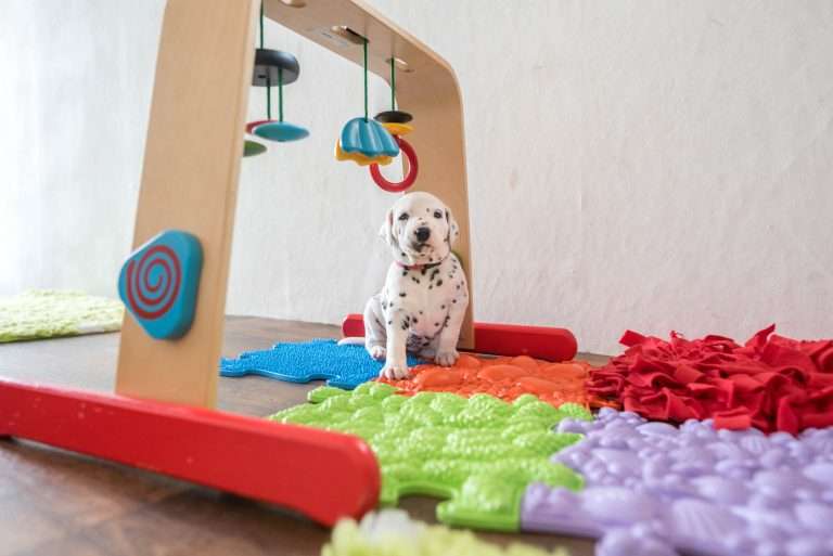 A-Wurf 22. Lebenstag (20)