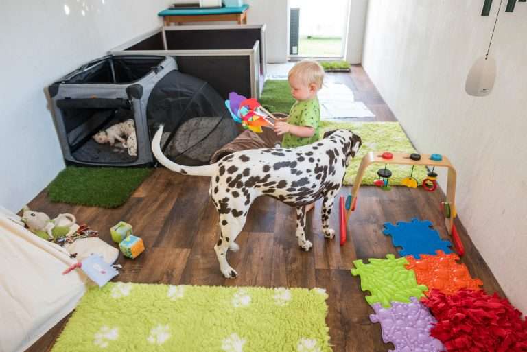 A-Wurf 23. Lebenstag (15)