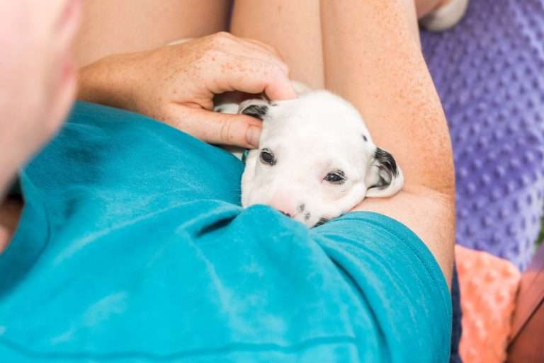 A-Wurf 23. Lebenstag (29)