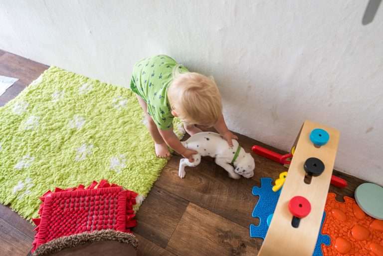 A-Wurf 23. Lebenstag (6)