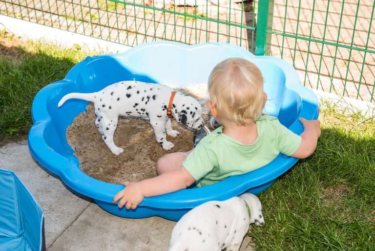 A-Wurf 30. Lebenstag (1)