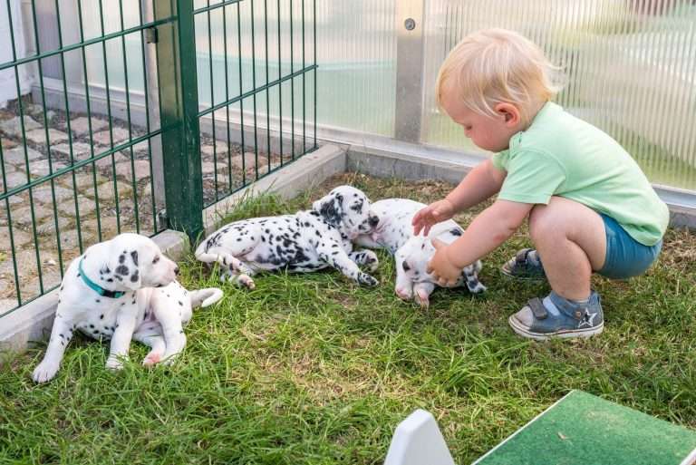 A-Wurf 30. Lebenstag (3)