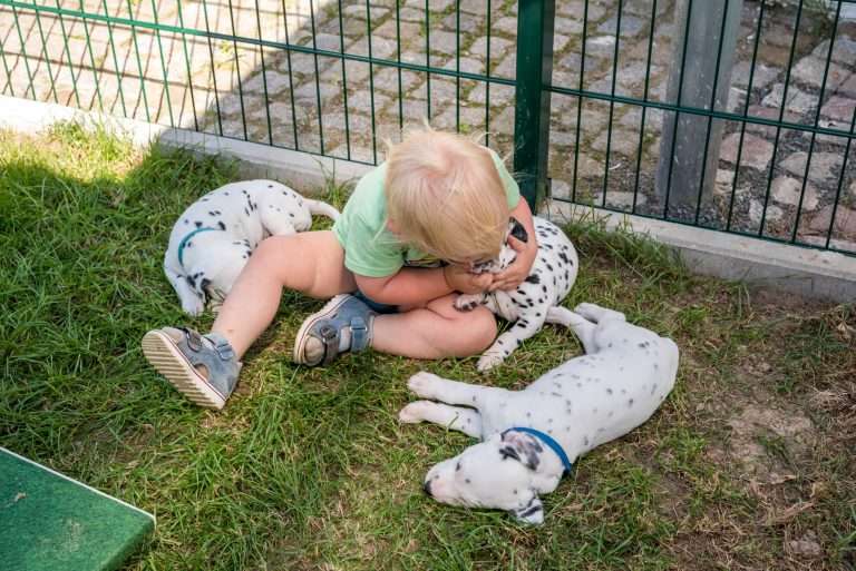 A-Wurf 30. Lebenstag (4)