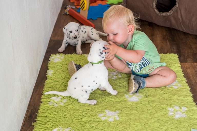 A-Wurf 30. Lebenstag (6)