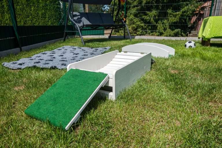 Freckled Friends - Zuchtstätte (17)