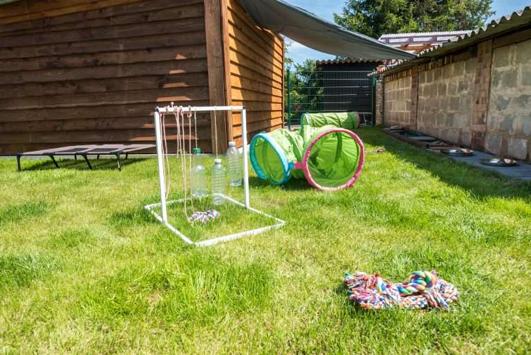 Freckled Friends - Zuchtstätte (22)