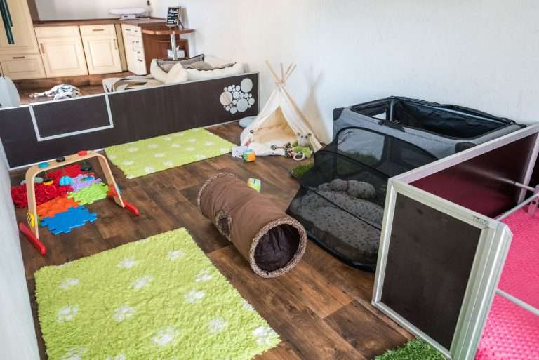 Freckled Friends - Zuchtstätte (3)