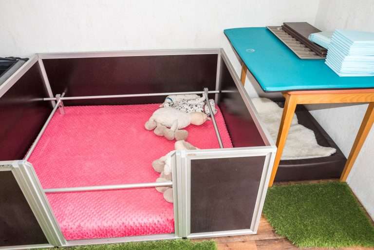 Freckled Friends - Zuchtstätte (8)