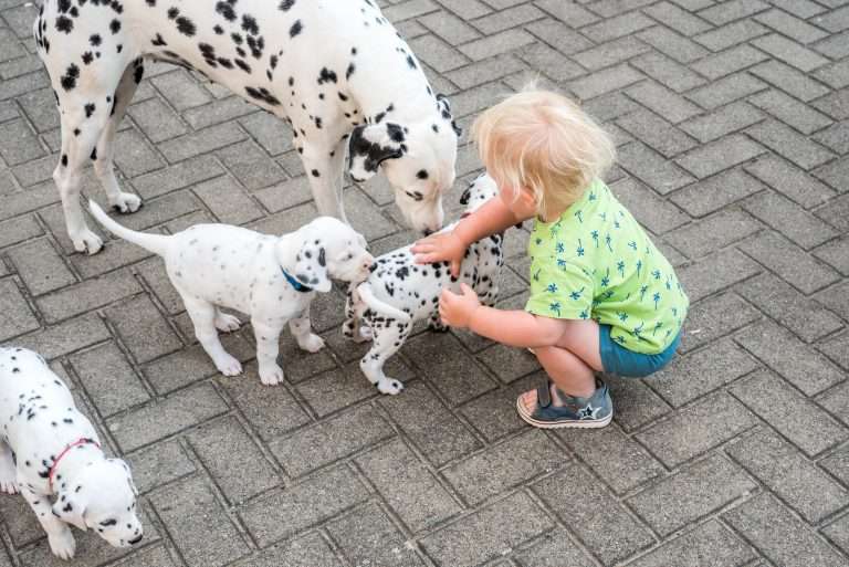 A-Wurf 36. Lebenstag (6)