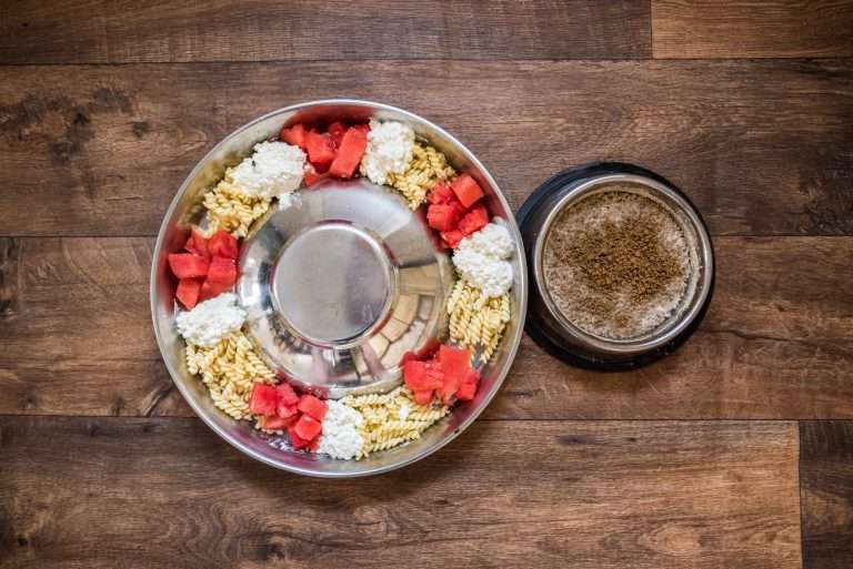 A-Wurf 44. Lebenstag (4)