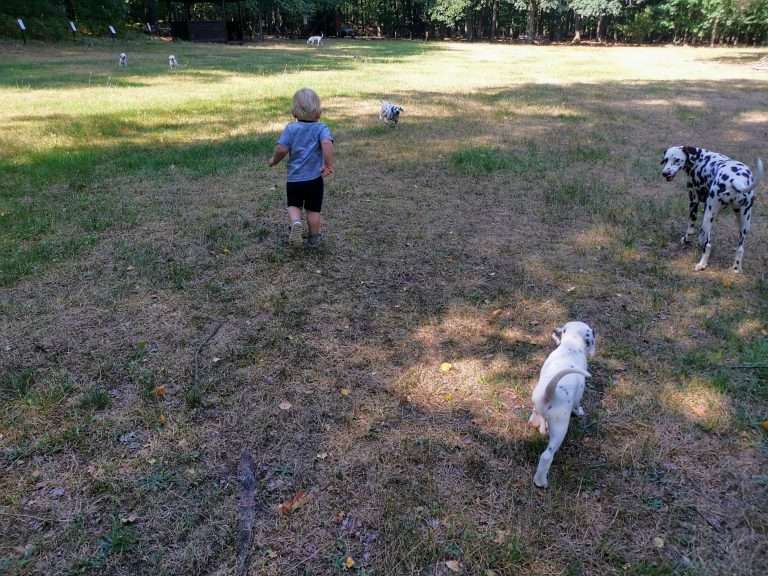 A-Wurf 45. Lebenstag (6)