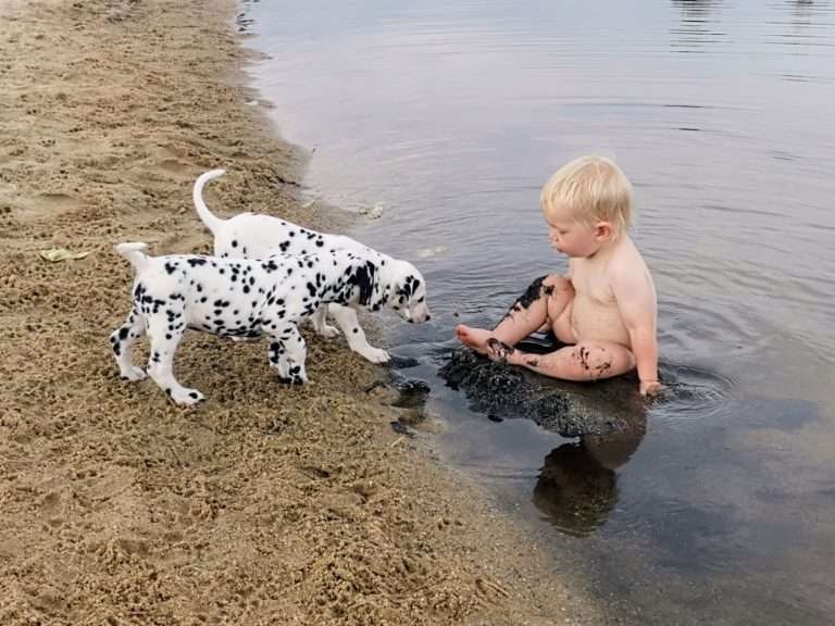 A-Wurf 47. Lebenstag (7)