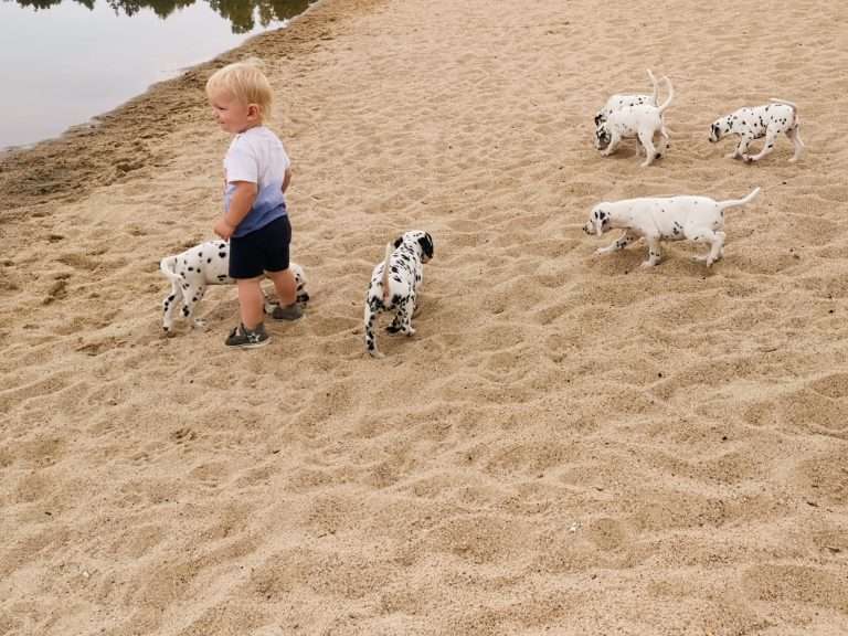 A-Wurf 47. Lebenstag (8)