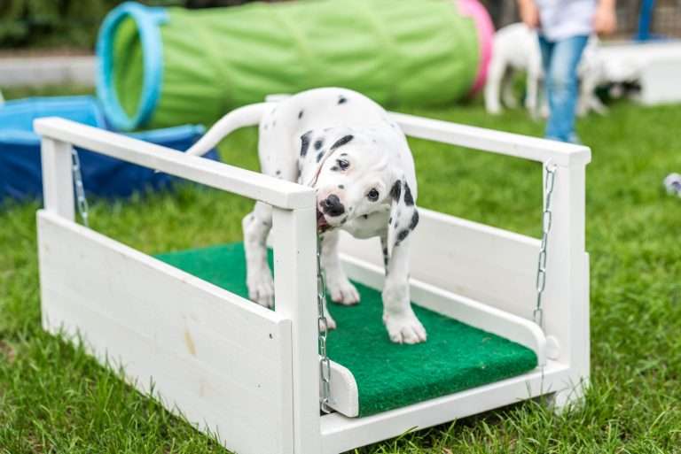 A-Wurf 53. Lebenstag (11)