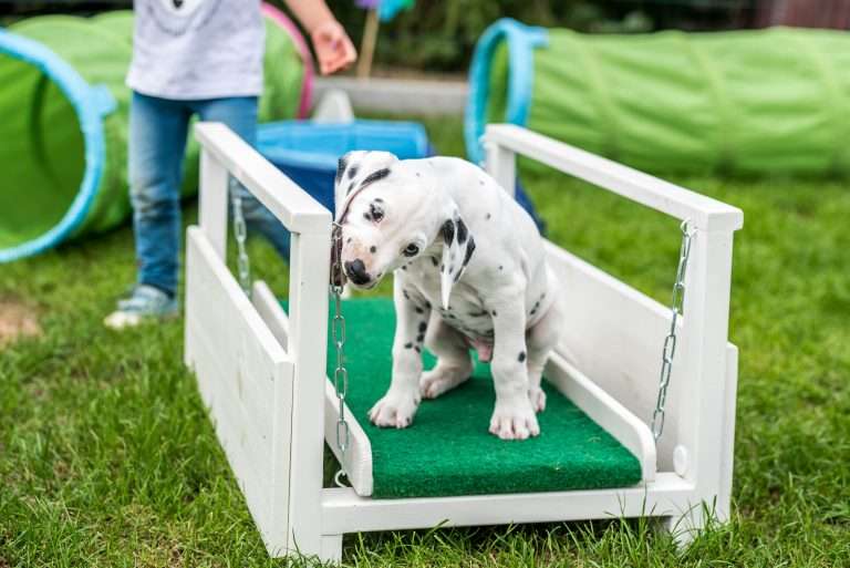 A-Wurf 53. Lebenstag (12)