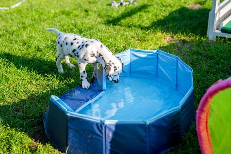 A-Wurf 53. Lebenstag (66)