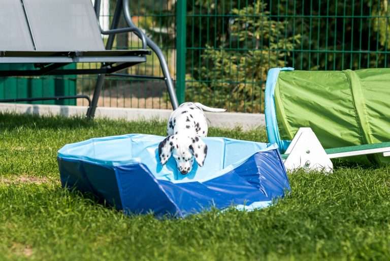 A-Wurf 55. Lebenstag (17)