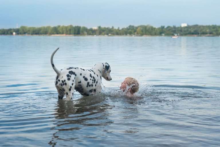 35. Trächtigkeitstag - B-Wurf - (1)
