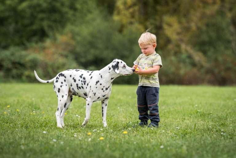42. Trächtigkeitstag - B-Wurf (15)