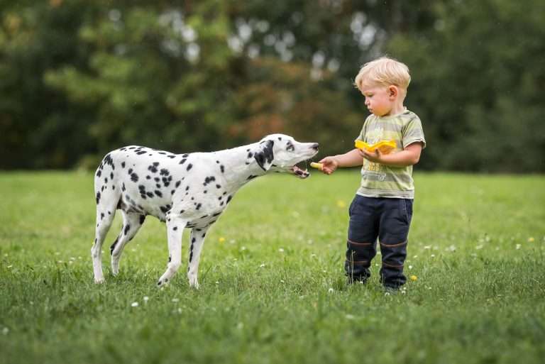 42. Trächtigkeitstag - B-Wurf (16)