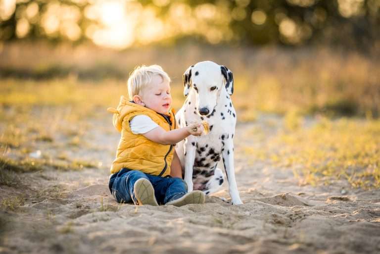 42. Trächtigkeitstag - B-Wurf (4)