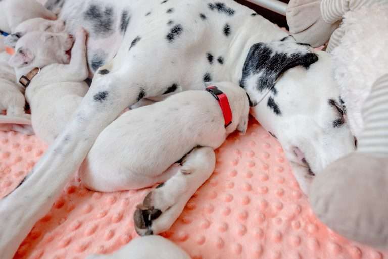 12. Lebenstag - B-Wurf (16)