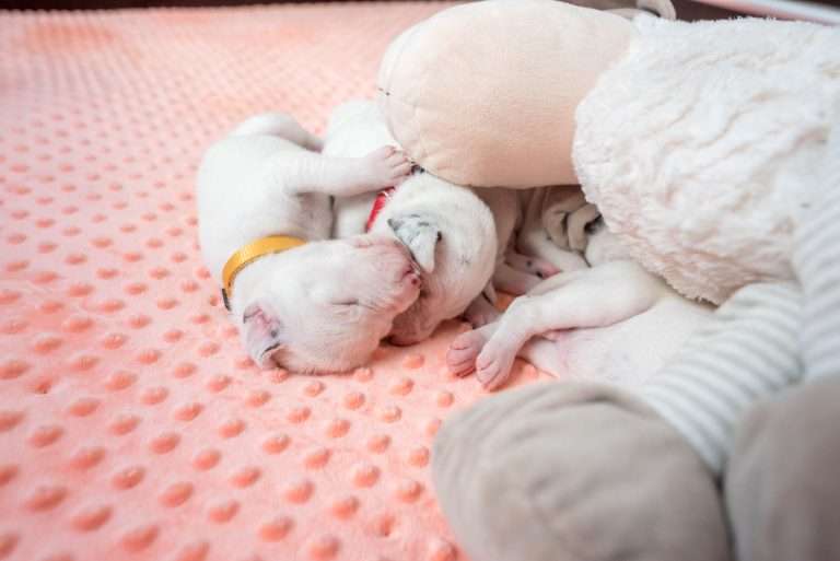 12. Lebenstag - B-Wurf (9)