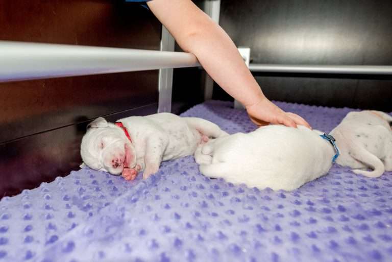 16. Lebenstag - B-Wurf (10)