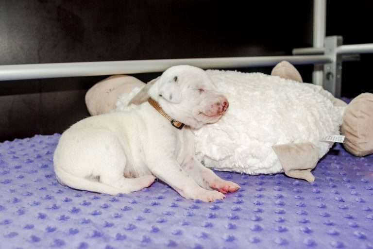 16. Lebenstag - B-Wurf (5)