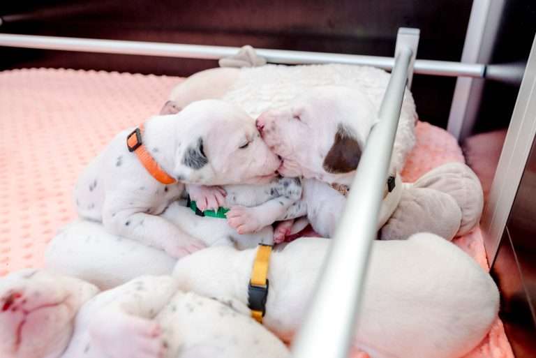 17. Lebenstag - B-Wurf (23)