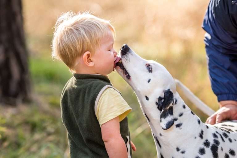 56. Trächtigkeitstag - B-Wurf (11)