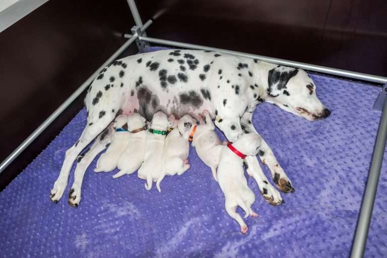 9. Lebenstag - B-Wurf (16)