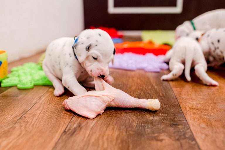 22. Lebenstag - B-Wurf (12)