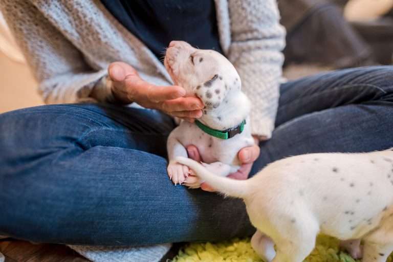 22. Lebenstag - B-Wurf (26)