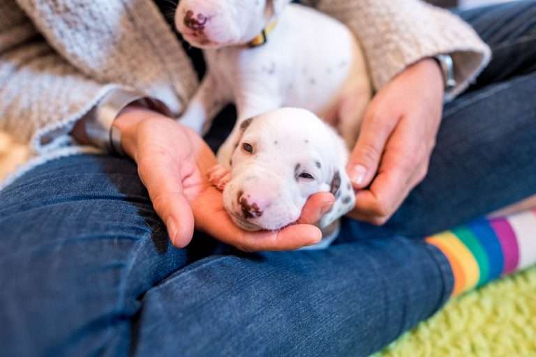 22. Lebenstag - B-Wurf (27)