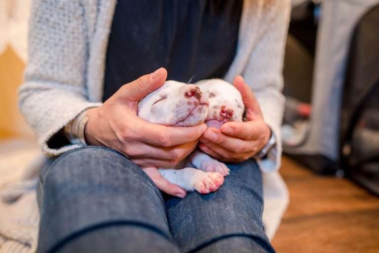 22. Lebenstag - B-Wurf (28)