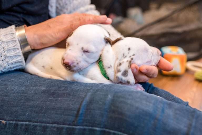 22. Lebenstag - B-Wurf (29)