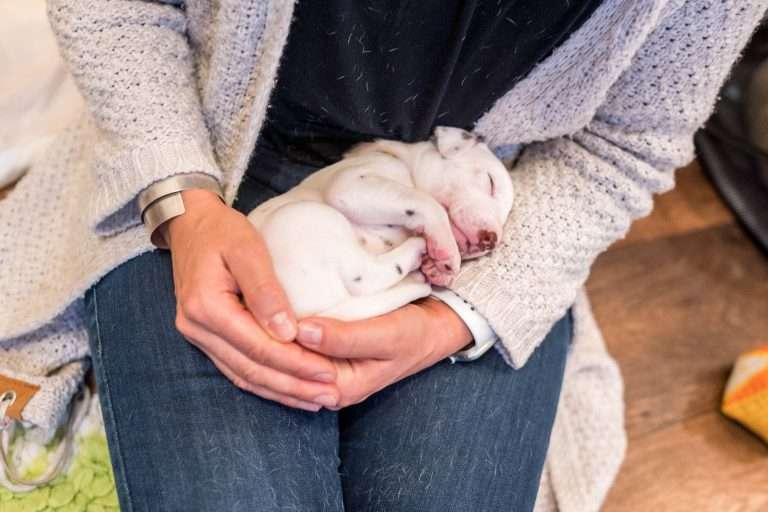 22. Lebenstag - B-Wurf (30)