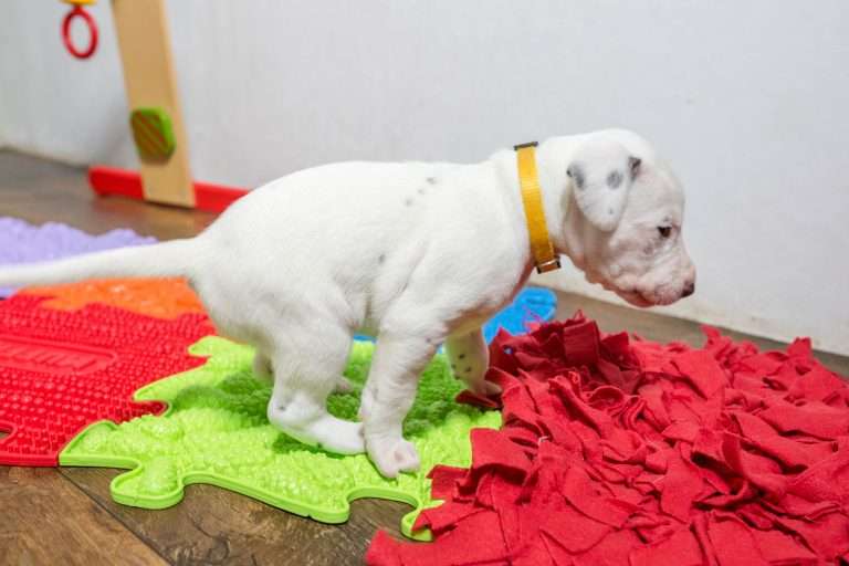 23. Lebenstag - B-Wurf (13)