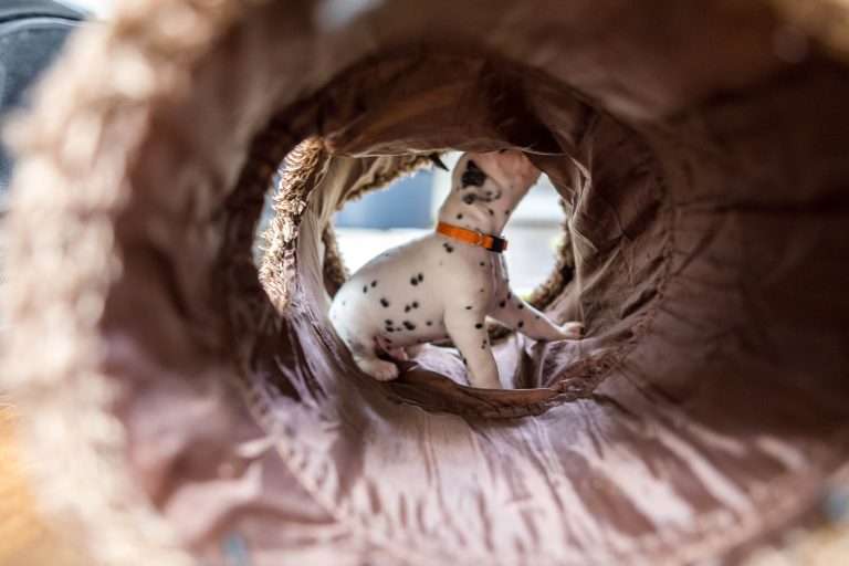 23. Lebenstag - B-Wurf (15)