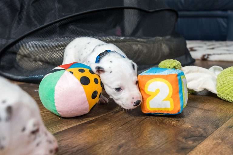 23. Lebenstag - B-Wurf (2)