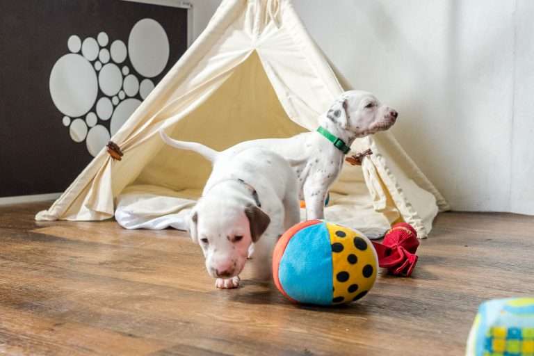 23. Lebenstag - B-Wurf (4)