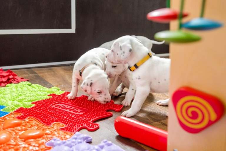 23. Lebenstag - B-Wurf (6)