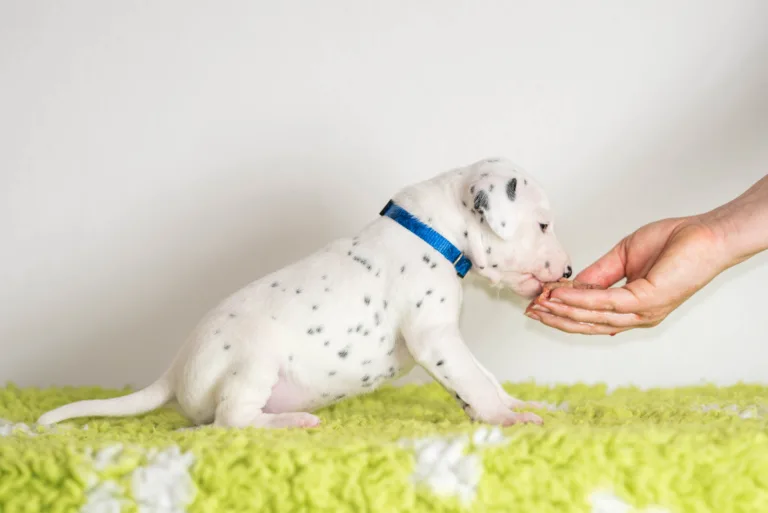 25. Lebenstag - B-Wurf (1)