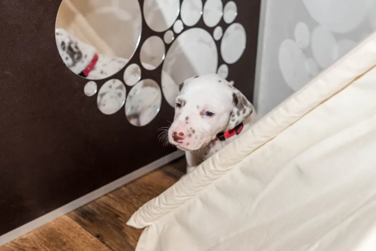 25. Lebenstag - B-Wurf (12)