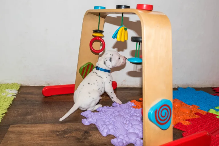 25. Lebenstag - B-Wurf (16)