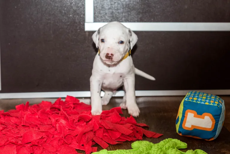 25. Lebenstag - B-Wurf (21)