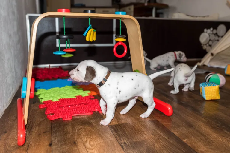 26. Lebenstag - B-Wurf (27)