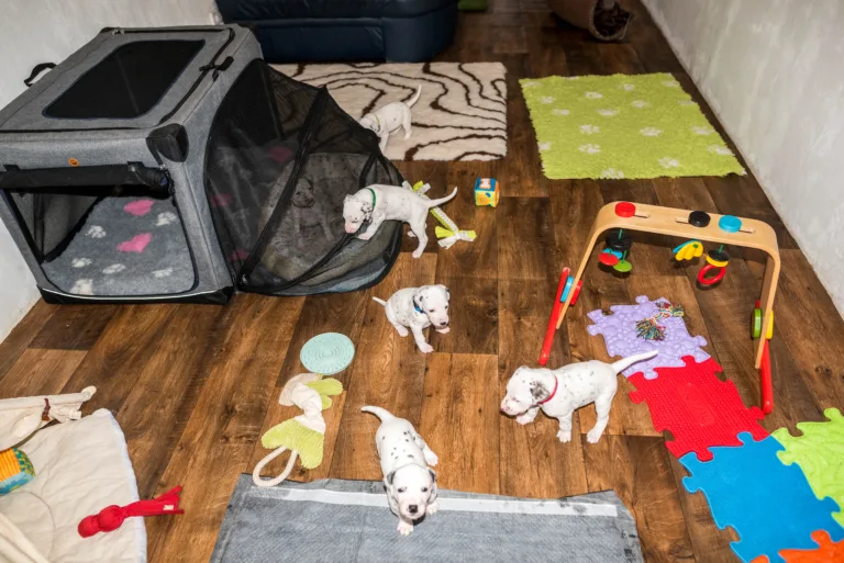 26. Lebenstag - B-Wurf (49)